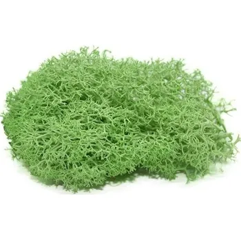 umělá květina Umělý dekorativní mech C647 světle zelená