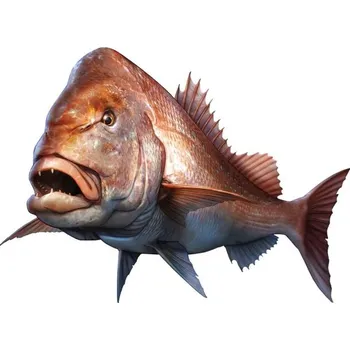 Samolepicí dekorace na vozidlo Samolepka na auto ryba B495