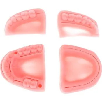 Model chrupu pro nácvik šití stehů 4 ks