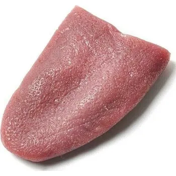 Karnevalová maska Realistický falešný jazyk Kouzelnická rekvizita Žertovná pomůcka Pružný umělý jazyk Halloweenská rekvizita Roztahovací jazyk 5,5 x 3,8 x 1,2 cm