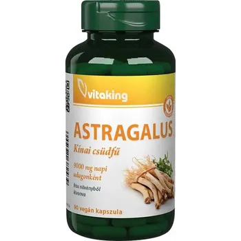 Fitness strava Vitaking Astragalus Vege 90 kapslí