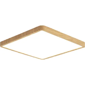 Stropní světlo 23 x 23 cm