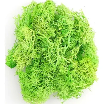 umělá květina Umělý barevný mech 200 g Dekorativní mechová tráva Falešné zelené rostliny Mini krajina DIY řemesla Domácí zahradní výzdoba Obývací pokoj zelená