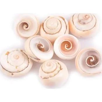 Dekorace do akvária Mořská ulita 10 ks A2716