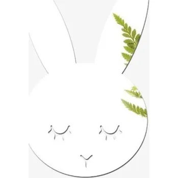 Zrcadlo Zrcadlo T1857 1