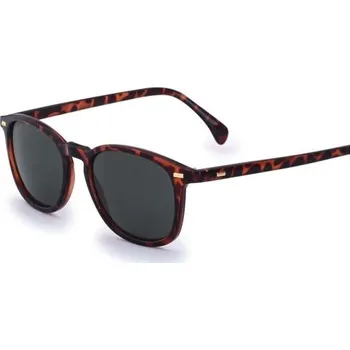 Pánské sluneční brýle E2211 1