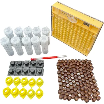 Sada pro chov včelích matek Přelarvovací sada