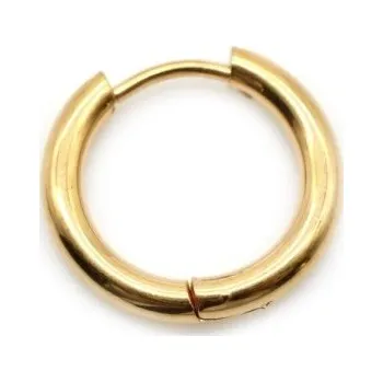 Náušnice Kruhové náušnice G444 zlatá 14 mm 5 mm