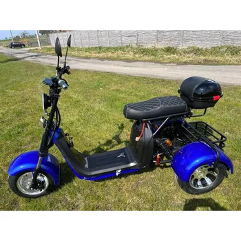 Elektrokoloběžka Leramotors Lera Scooters C5 2000W Modrá