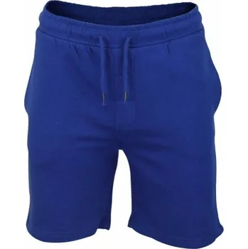 Pánské kraťasy Pánské kraťasy Robbie modrá S