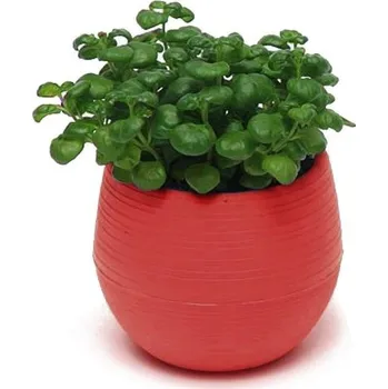 Mini květináč s miskou C1168 červená