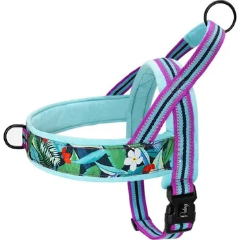 Obojek pro psa Měkký polstrovaný výcvikový postroj Nastavitelný reflexní postroj s držadlem Pestrobarevný bezpečnostní postroj pro malé a velké psy tyrkysová M