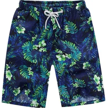 Pánské kraťasy Pánské letní šortky s potiskem M