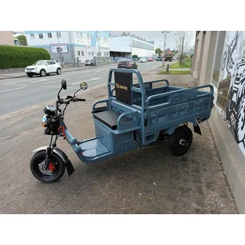 Elektromobilita Leramotors Leramotors Cargo G1 1000W COC Šedá