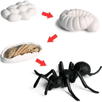 Figurka Figurky životní cyklus pavouka 4 ks