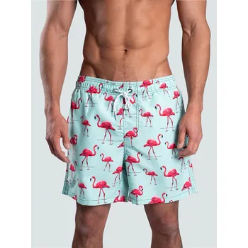 Pánské plavky Pánské plavky s potiskem Velikost: XXL BrainMax Pánské koupací šortky s potiskem