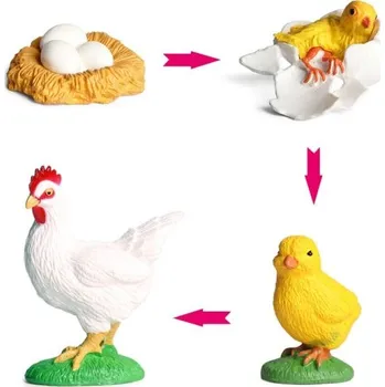 Figurka Figurky životní cyklus slepice 4 ks