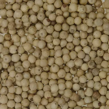 Koření BIO Pepř bílý celý