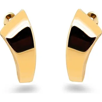 Náušnice Klasické dámské náušnice Tessa IZ31114 + dárkové balení LUXUS zdarma