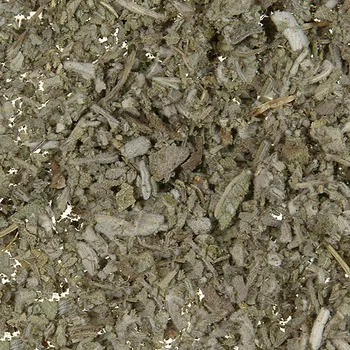 Šalvěj list řezaný