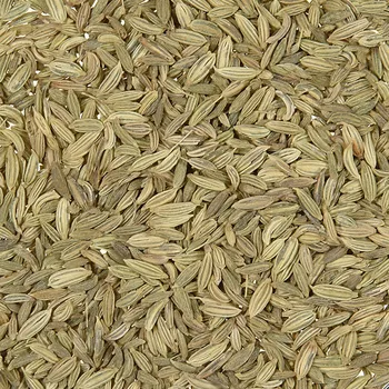 Koření Fenykl celý 0.5 kg