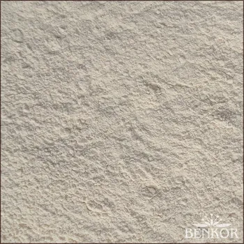 Koření BIO Česnek mletý