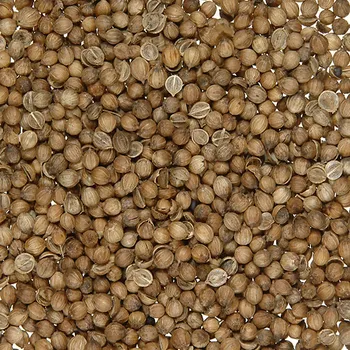 Koření BIO Koriandr