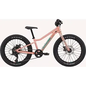 Dětské kolo Dětské horské kolo Cannondale Trail Plus 20 barva Salmon
