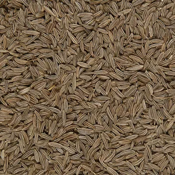 Koření Kmín celý 0.5 kg