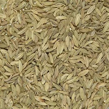 Koření BIO Fenykl celý