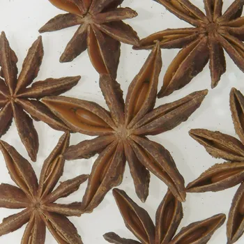 Koření BIO Badyán 1 kg