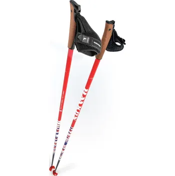 Sjezdová hůlka HAAKON Běžecké hole HAAKON Czech Edition 172cm