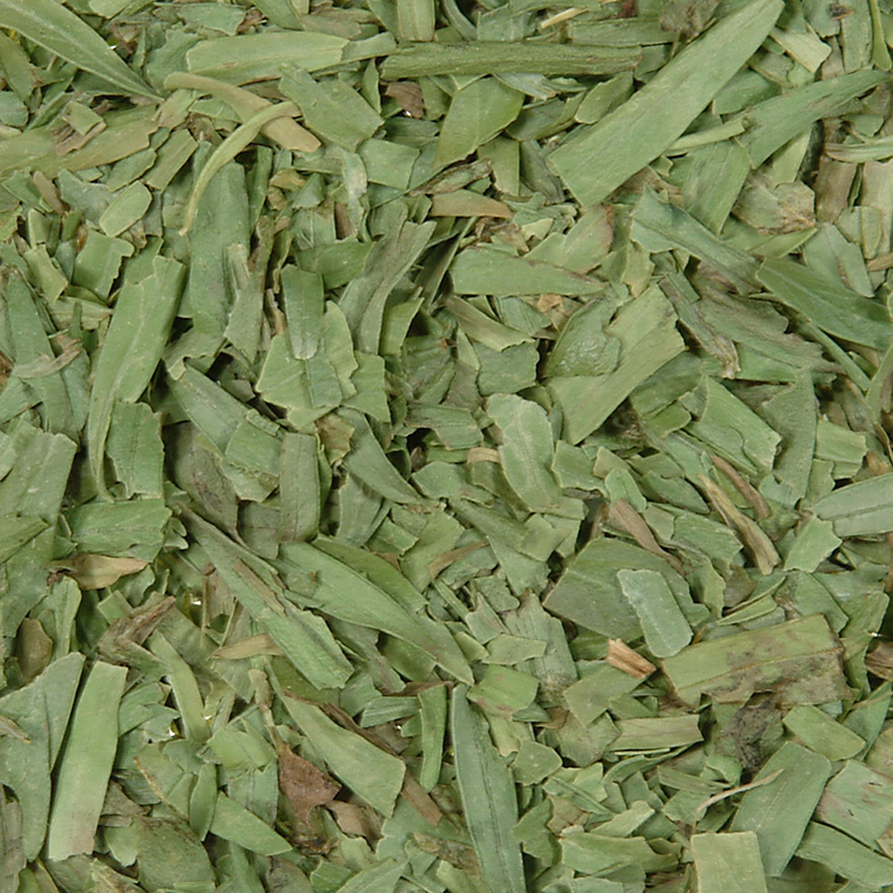 Estragon 0.5 kg