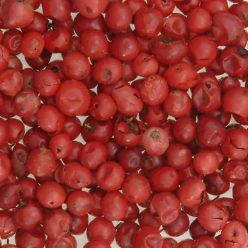 Koření Pepř červený