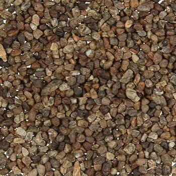 Koření Kardamom zrna