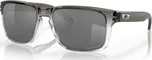 Oakley Holbrook OO9102