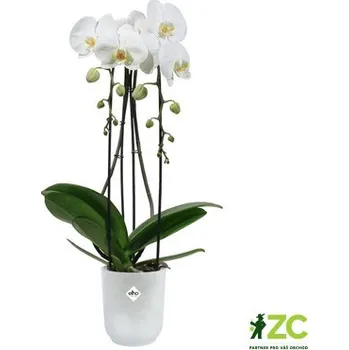 Obal na květináč Obal Vibes Fold Orchid High - transparent 12,5 cm