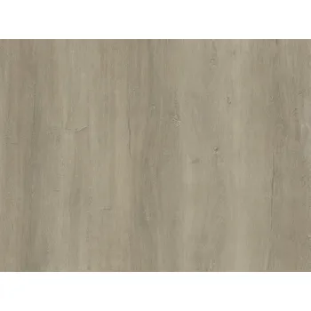 vinylová podlaha Vinylová podlaha lepená Relit GD Noble