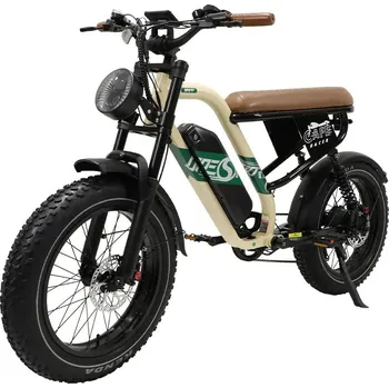 Elektrokolo Retro moto elektrokolo W66