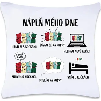Dekorativní polštářek DOBRÝ TRIKO Polštář s potiskem 40 x 40 cm Náplň dne Oboustranný tisk: NE
