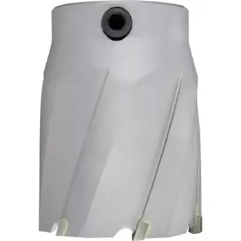 Vrták 2002087050 Korunkový vrták 150mm ALFRA HM d87