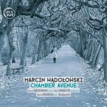 Zahraniční hudba CD Marcin Wądołowski: Chamber Avenue 2021