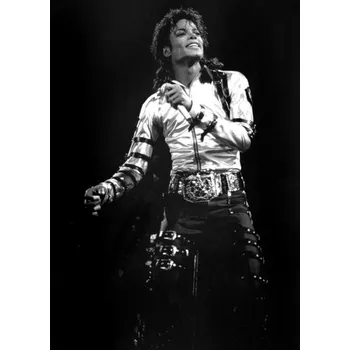 Plakát Plakát, Obraz - Views of Michael Jackson concert during