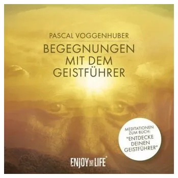 Begegnungen mit dem Geistführer, 1 Audio-CD - Voggenhuber, Pascal