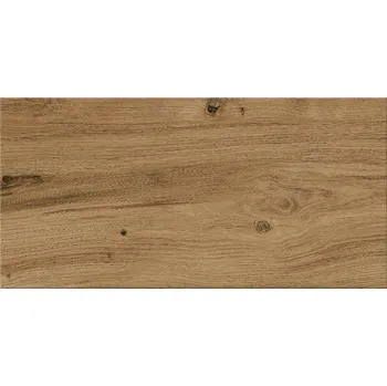 Dlažba EBS Living Ashwood 30 x 60 cm ASH3060BR hnědá 1,6 m2