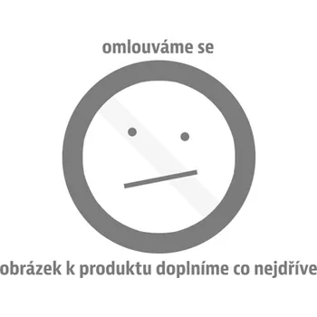 PC tuning Rieger vložka zadního nárazníku pro Ford Focus 4 DEH, ST 5-dvéř. (hatchback), plast ABS bez povrchové úpravy, pro sportovní koncovky vlevo/vpravo 100 mm SLEVA 3%