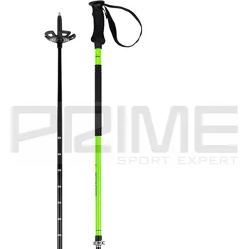 Sjezdová hůlka hole Elan Tour, black/green 115044