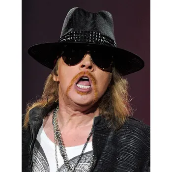 Plakát Plakát, Obraz - Guns N' Roses And Sebastian Bach