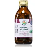 Salvia Paradise Pravénka latnatá kapsle pro podporu imunitního systému 120 cps
