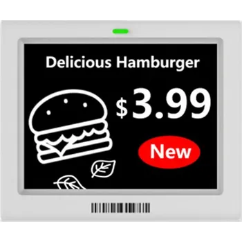 IP kamera ESL-E037C-N